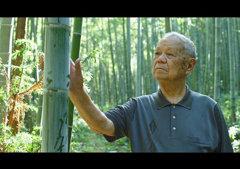 制扇技藝-徐義林 國(guó)家級(jí)非物質(zhì)文化遺產(chǎn)代... 制扇技藝-徐義林 國(guó)家級(jí)非物質(zhì)文化遺產(chǎn)代...